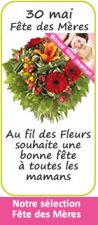 Au fil des Fleurs, fleuriste &agrave; Chevigny Saint Sauveur f&ecirc;te toutes les mamans. Consultez la s&eacute;lection pour la F&ecirc;te des M&egrave;res. Cliquez sur l'image