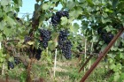 pict0025.jpg