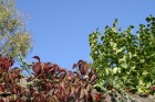 pict0053.jpg