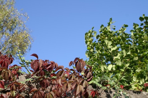 pict0053.jpg