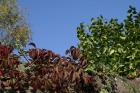 pict0054.jpg