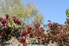 pict0056.jpg