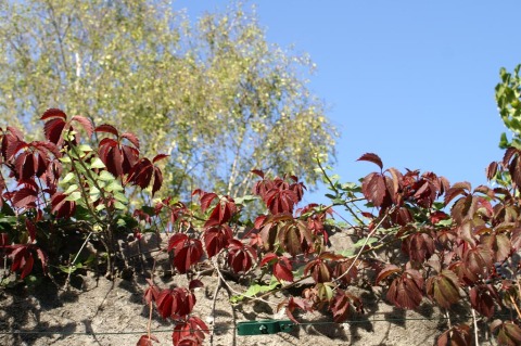 pict0056.jpg