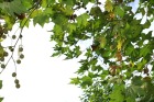 pict0058.jpg