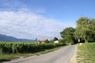pict0079.jpg