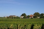 pict0081.jpg