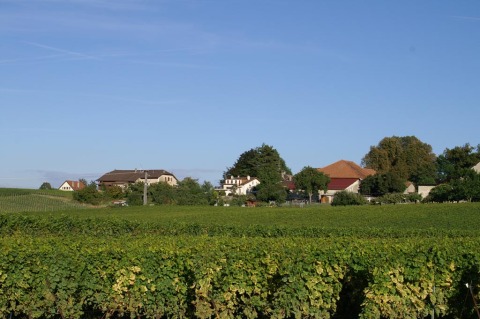 pict0081.jpg