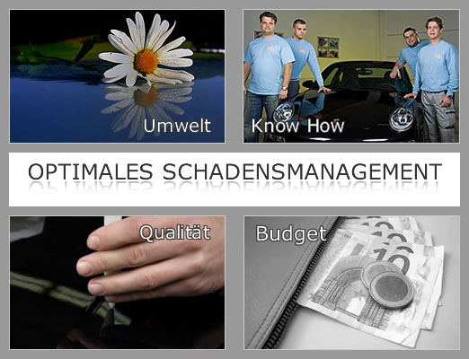 Optimales Schadensmanagement