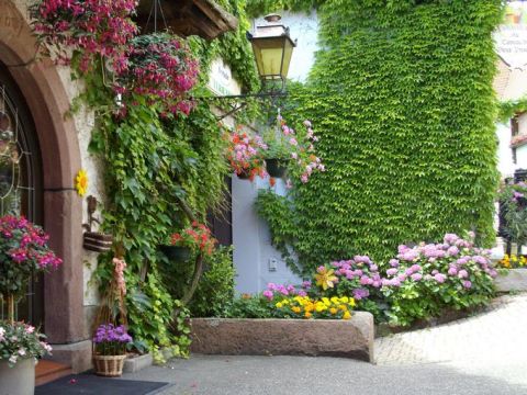 18. Restaurant - Entr�e