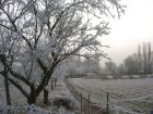 12. Hiver