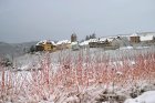 10. Hiver