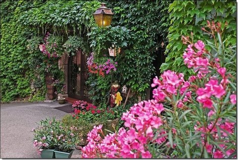 19. Facade au printemps