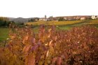 06. Automne