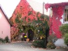 08. Entr�e restaurant