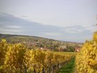 09. Automne