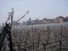 13. Hiver