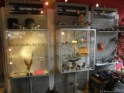 <b>AV-Motorcycles0212-09.jpg</b><br>