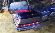 <b>AV-Laden-Gold_Wing-04.jpg</b><br>