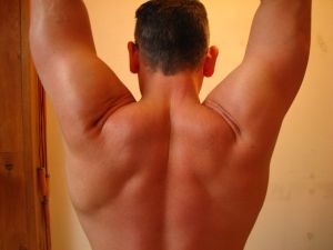 Nicht nur Bodybuilder ben&ouml;tigen Eiwei&szlig;getr&auml;nke