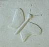 motif papillon