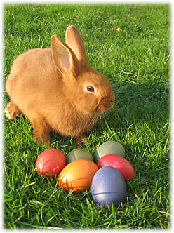 Frohe Ostern in der Ferienwohnung im Bayerischen Wald