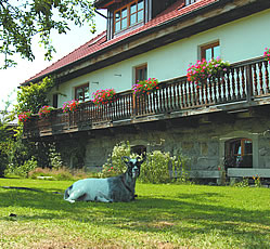 unsere Ziege Mecki auf dem Bauernhof Gr�ndinger