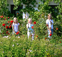 gepflegter Bauerngarten auf dem Ferienhof Gr&uuml;ndinger