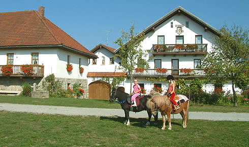 sonnige S&uuml;dlage - Urlaub auf dem Bauernhof im Bayerischen Wald