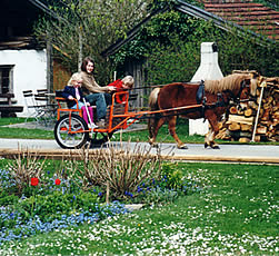 Unterwegs im Sulky in der Bayerischen Natur rund um den Bauernhof