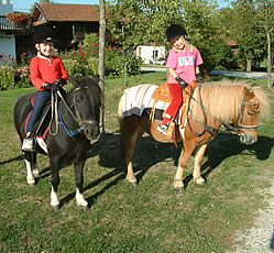 Hoch zu Pony in Wiesen und W�ldern des Bayerischen Waldes