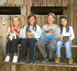 M�dels mit den Bauernhof Katzen - Kinder auf dem Ferienhof im Bayerischen Wald, Bayern