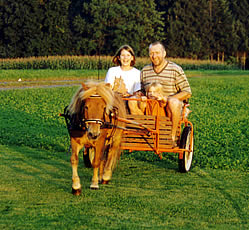 Unterwegs mit dem Sulky, Familienurlaub in Bayern