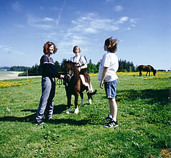Ausritt mit dem Pony in den Ferien in der unendlichen Weite des Bayerischen Waldes