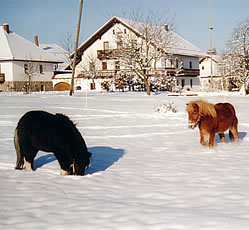Unser Bauernhof im Winter