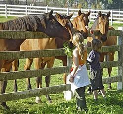 Kinder bei den Pferden - Reiten im Bayerischen Wald