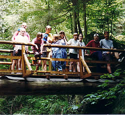 Wanderer auf einer Br�cke im Bayerischen Wald