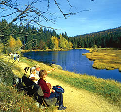 Arbersee mit Wanderer - Urlaub in Bayerischer Natur