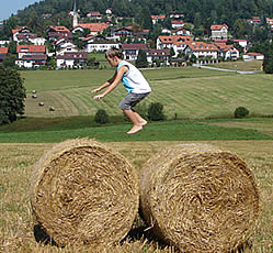Heuballen mit Bub