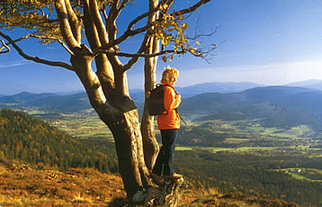 Herbsturlaub - Wandern im Bayerischen Wald