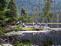 Arbersee im Nationalpark Bayerischer Wald