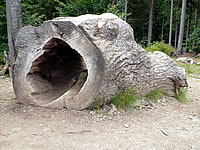 ausgeh�hlter Baumstamm im Nationalpark Bayerischer Wald