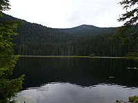 Arbersee im Nationalpark Bayerischer Wald