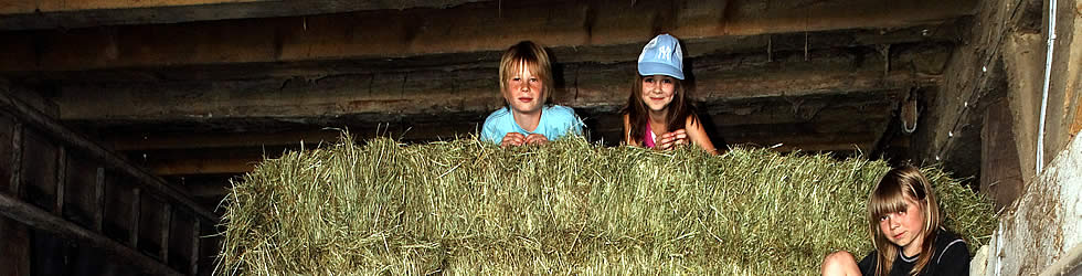 herbst.jpg