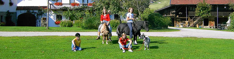 rund-um-den-hof2.jpg