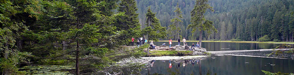 nationalpark.jpg