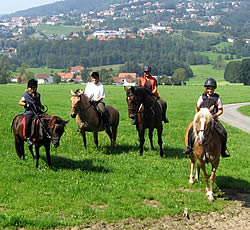 Ausritt im Bayerischen Wald