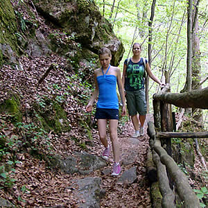 wandern im Bayerischen Wald
