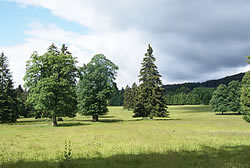 Auf Baumwanderung über den Mont Raimeux BE/JU