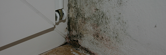 Typische "Schimmelecke" nach Neueinbau von hochdichten Fenstern und gleich gebliebenem L&uuml;ftungsverhalten