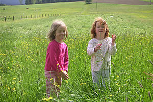 Kinder auf der Wiese